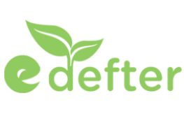 E-Defter