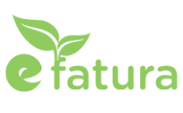 E-Fatura